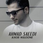 Ahmad Saeedi Khob Maloome
